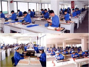 朝鲜招商 日益扩大和发展的加工贸易 服装 电子 刺绣 假睫毛